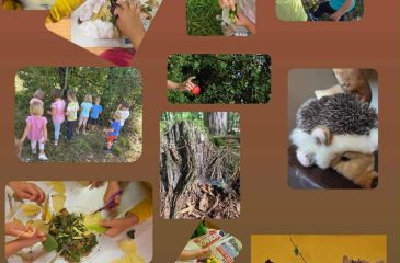 Jesensko dogajanje v vrtcu